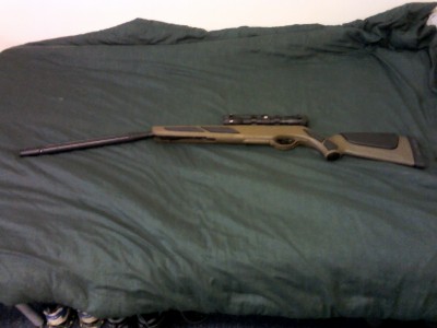 Gamo Varmint Barricade Stalker .22