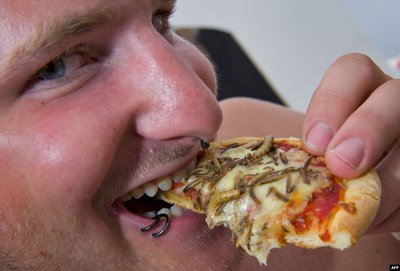 Pizza Anyone.jpg