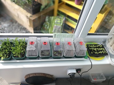 Conservatory window sill