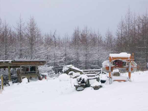Canadian lumbermate saw mill