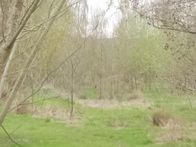 thumbnail - 2023-04-19T084507.807.jpg