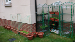GARDEN1.jpg