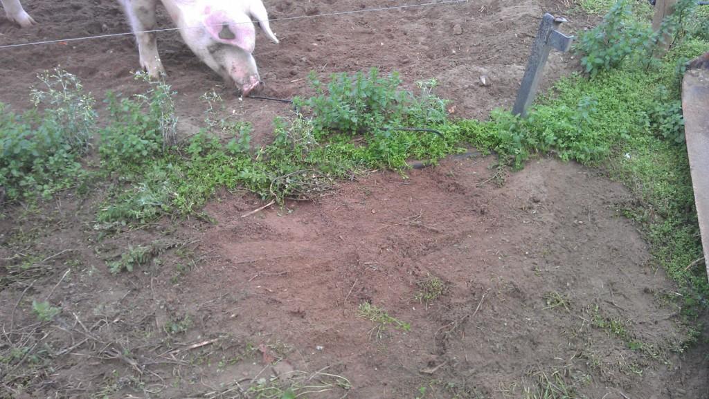 Where i was to site the fridge